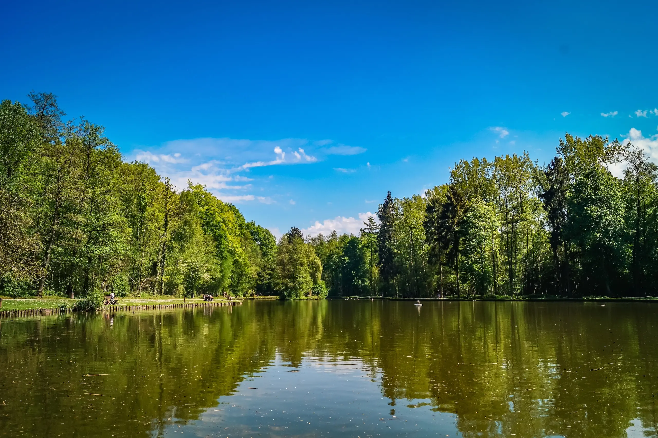 Image de fond pour Bois des Rêves