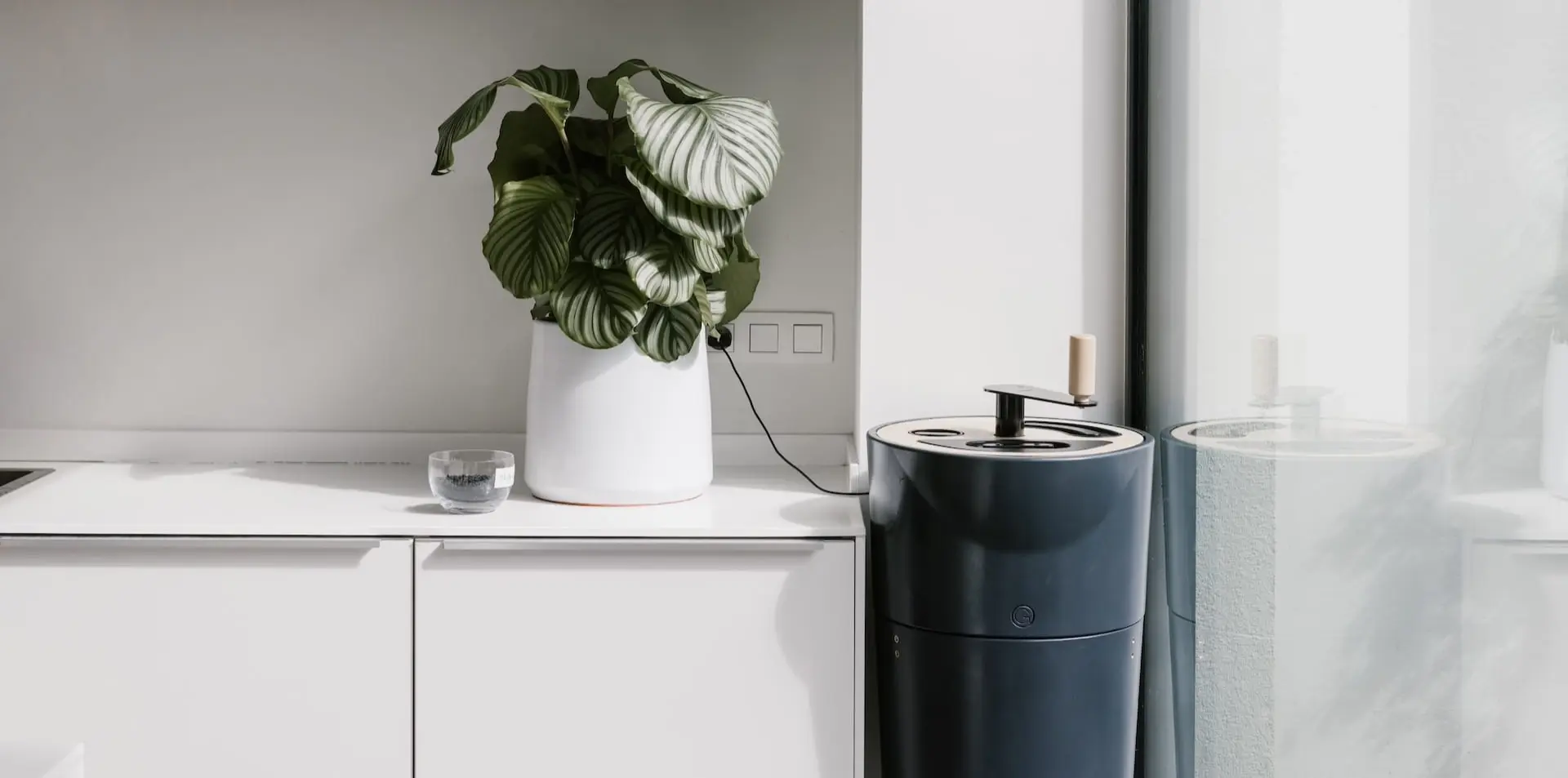 Image de fond pour Greenzy