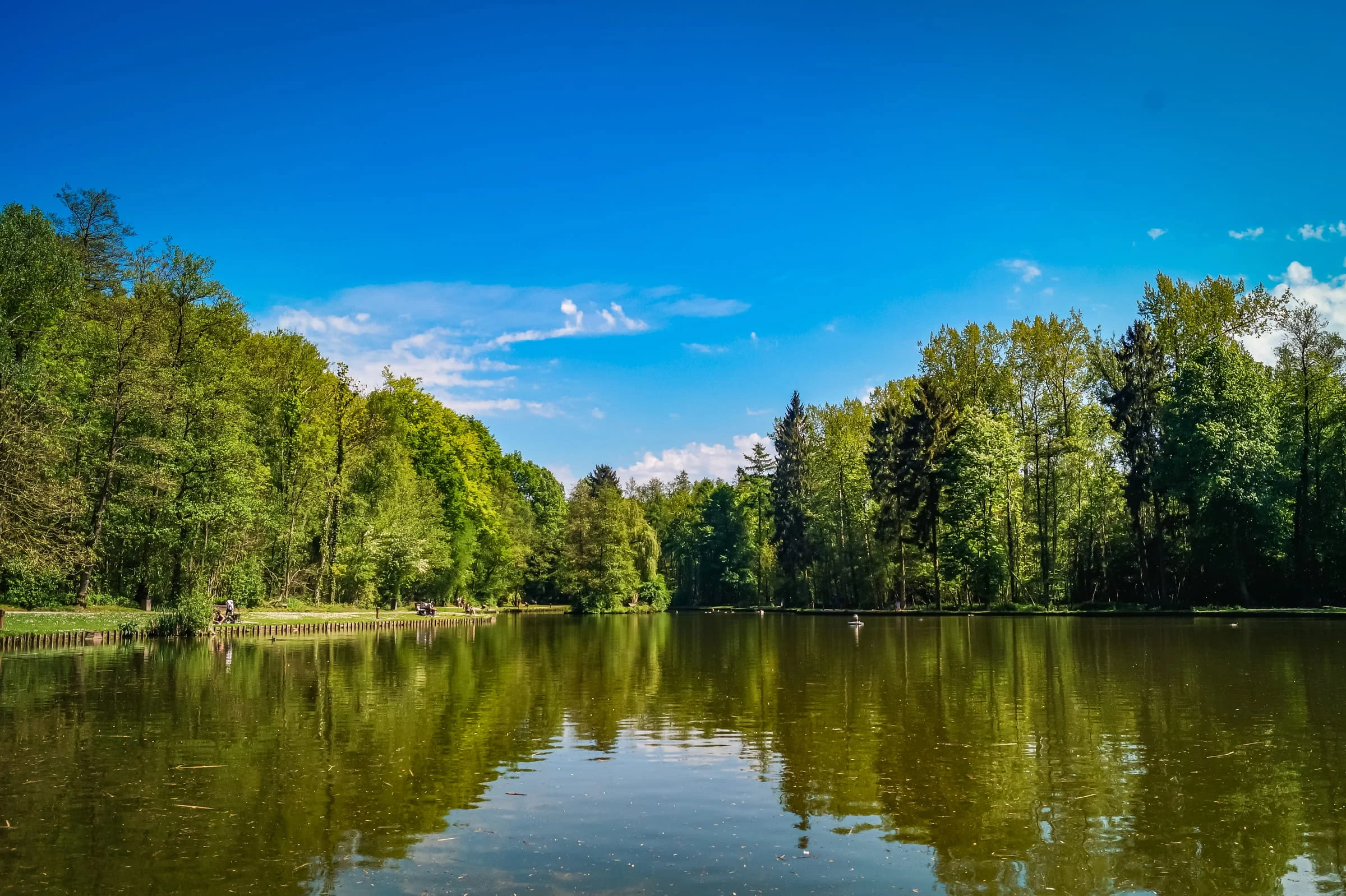 Bois des Rêves image