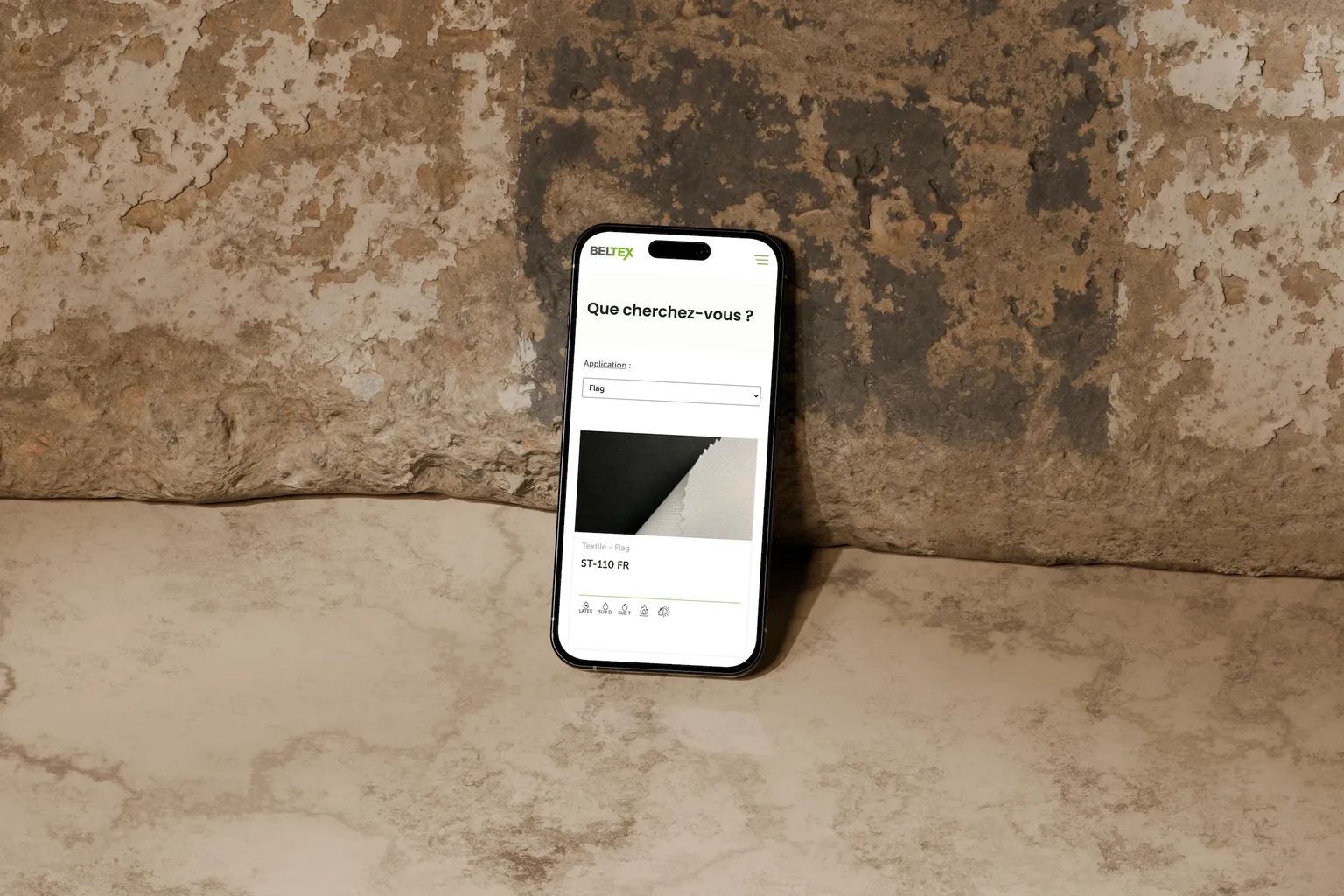 Maquette 1 pour Beltex