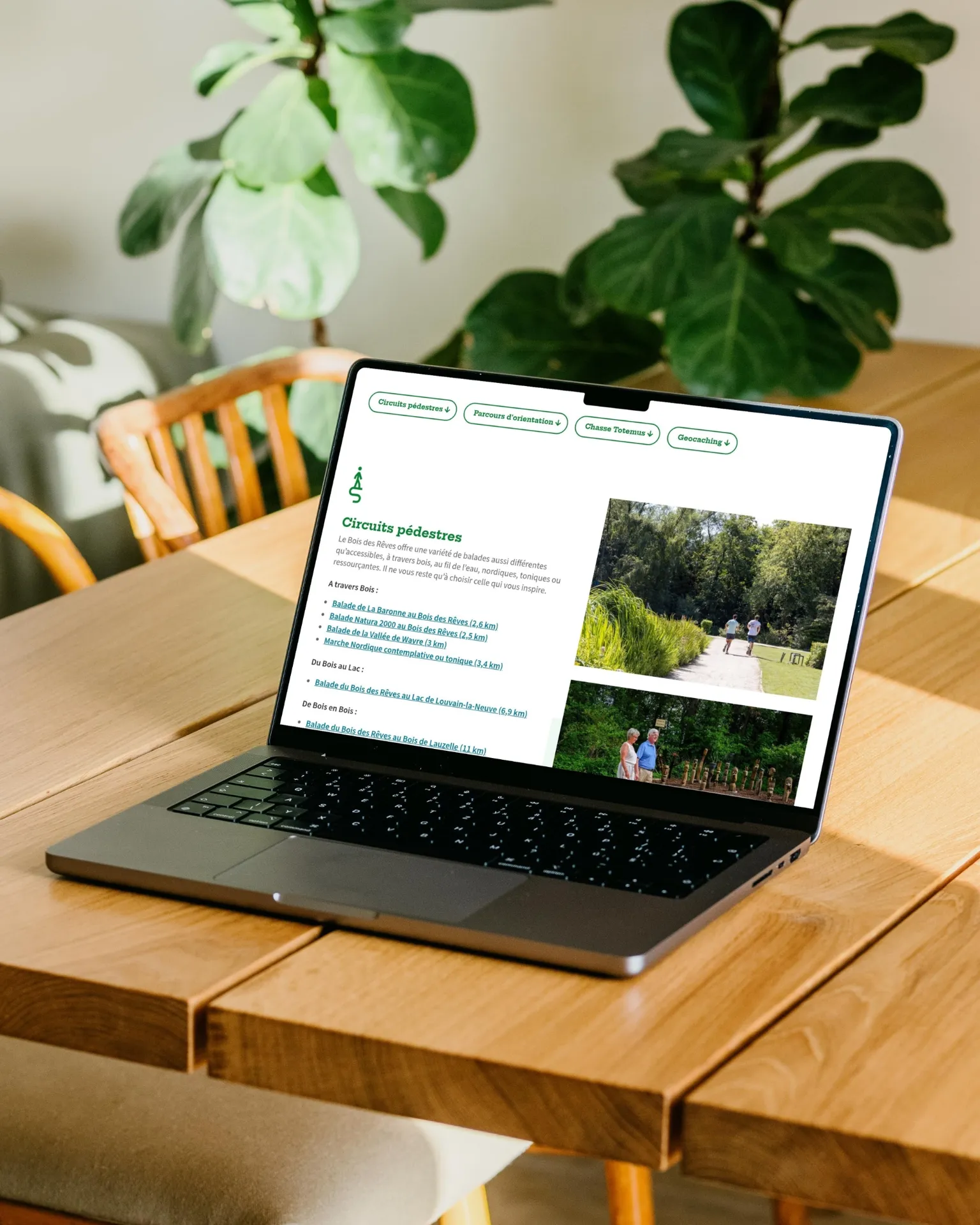 Maquette 1 pour Bois des Rêves