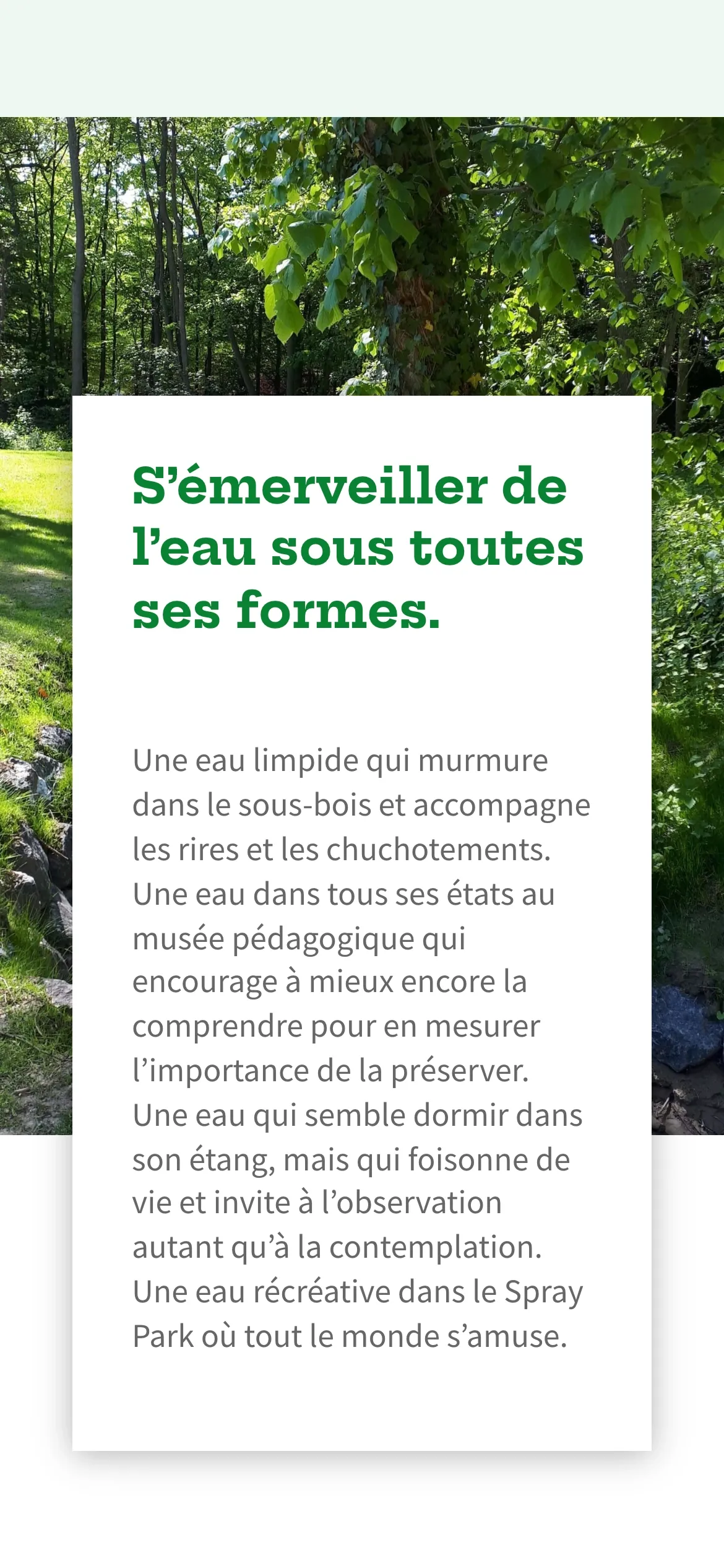 Capture d'écran mobile 2 pour Bois des Rêves