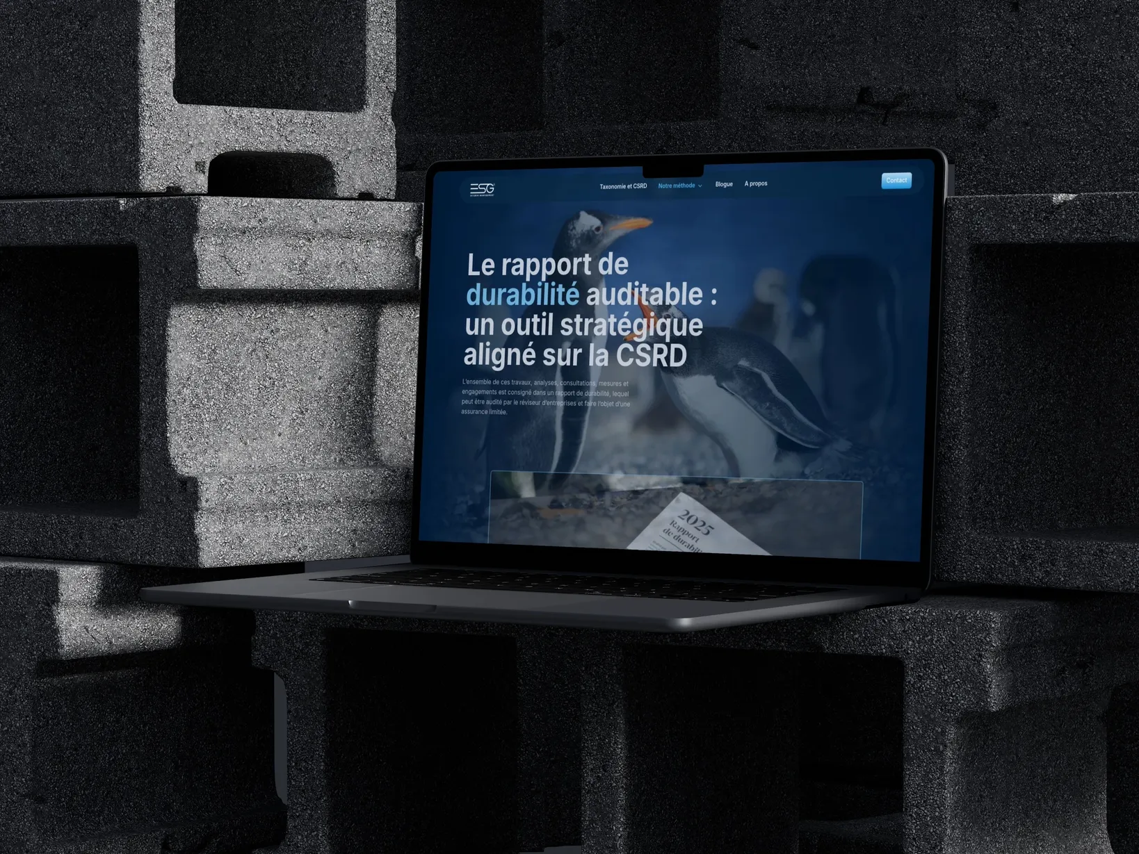 Maquette 2 pour ESGIM